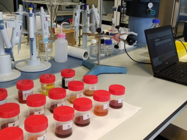 Plantillas-fotos-web-1920-x-1080-px-1-1024x576